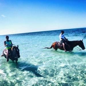 Meet your Posher, Adam